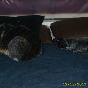 Meet your Posher, Margaret