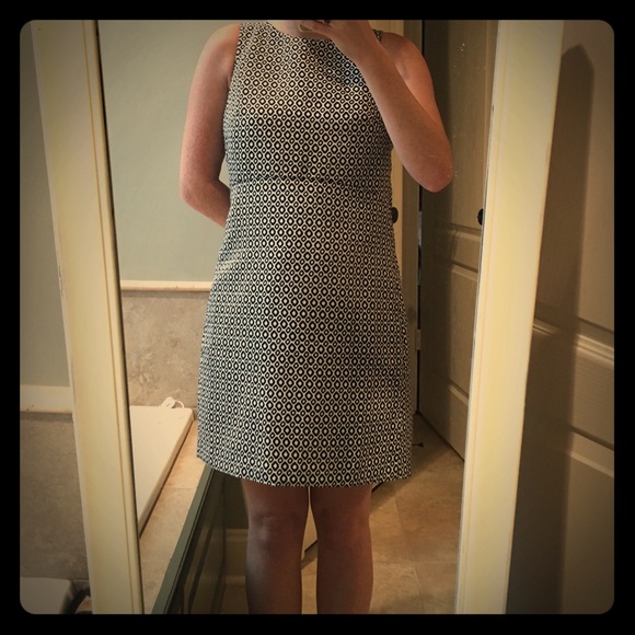 J crew circle dress