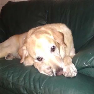 Meet your Posher, Lynda