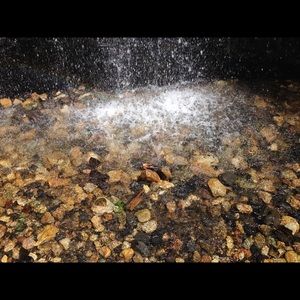 Meet your Posher, Arlene