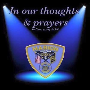 Meet your Posher, Shelly