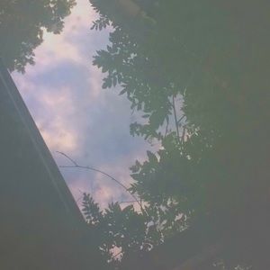 Meet your Posher, Kaisy