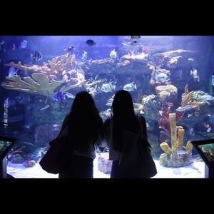 Meet your Posher, Lorenza