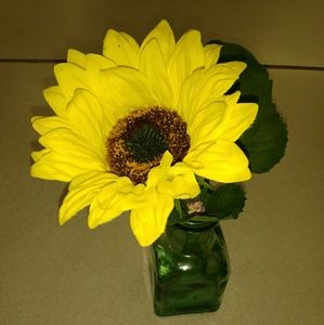 Meet your Posher, Sabrina