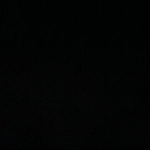 Meet your Posher, Noella