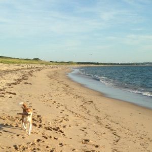 Meet your Posher, Ashton