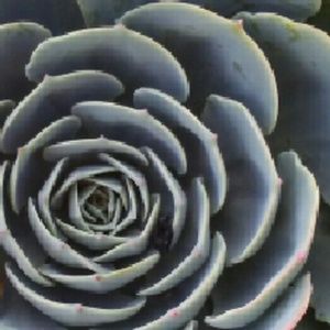 Meet your Posher, Charlotte