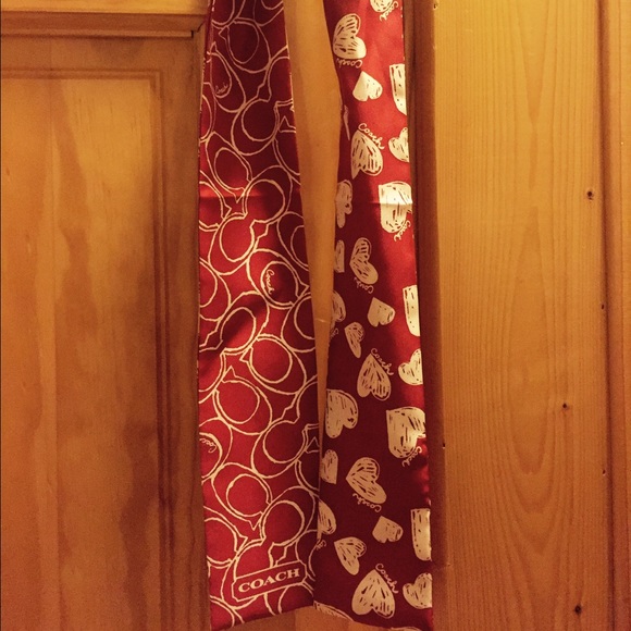 Silk Coach Ribbon Scarf