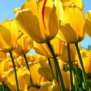 Meet your Posher, Latrice