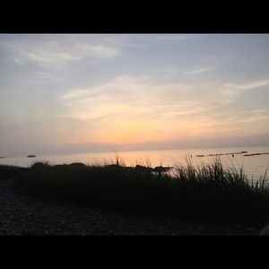 Meet your Posher, Paulette