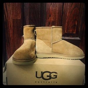 Authentic UGG Women's Classic Mini Boots-Chestnut