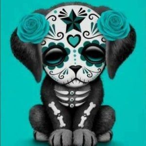 Meet your Posher, Doris