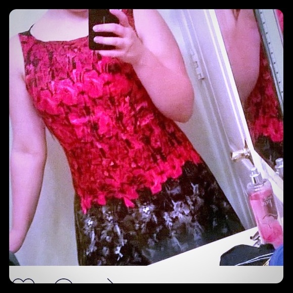A rose red and black dress zipper in the back