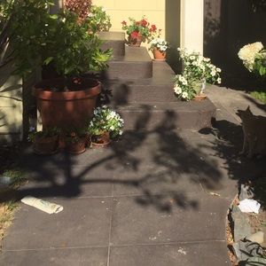 Meet your Posher, Julia