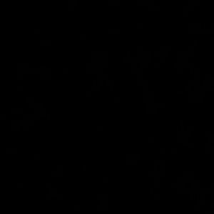 Meet your Posher, Tab