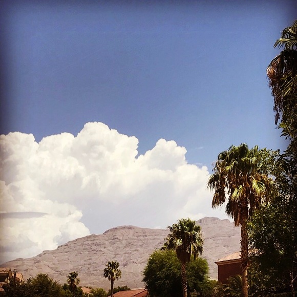 Meet your Posher, Laura - Picture 3 of 6