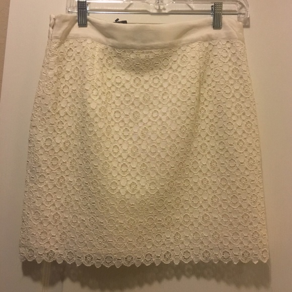 The Limited Mini Skirt