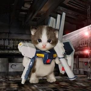 Meet your Posher, Peter