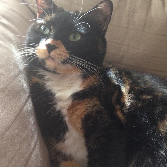 Meet your Posher, Theresa