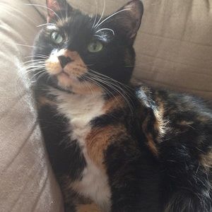 Meet your Posher, Theresa