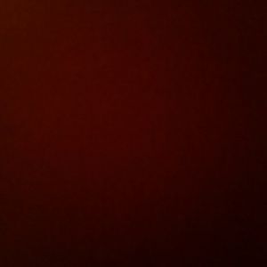 Meet your Posher, Sally