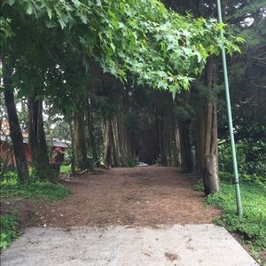 Meet your Posher, Leslie