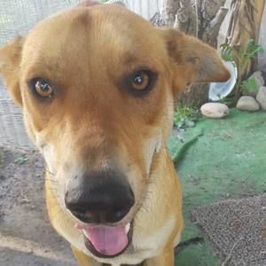 Meet your Posher, Christine