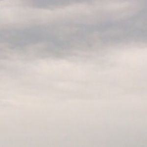 Meet your Posher, Navine