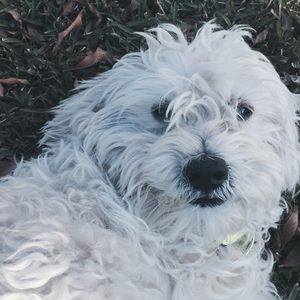 Meet your Posher, Laura