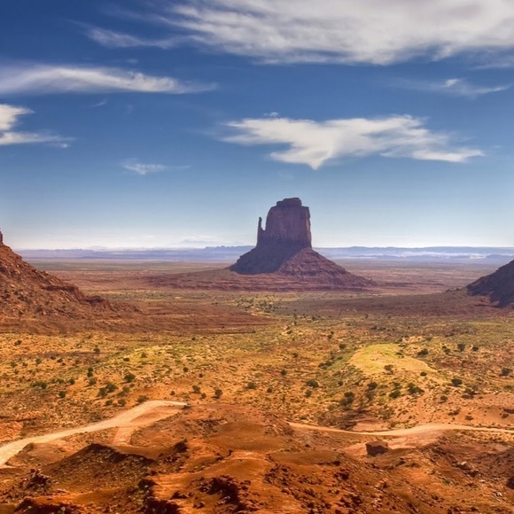 Meet your Posher, Amelia - Picture 1 of 1