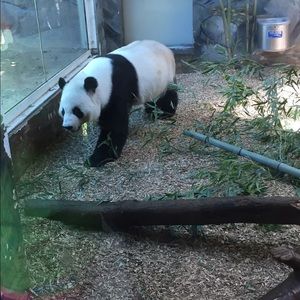 Meet your Posher, Timber