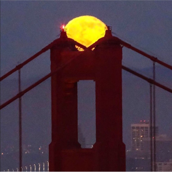 Meet your Posher, Sue - Picture 2 of 4