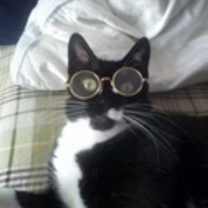 Meet your Posher, Pooka