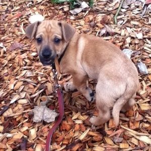 Meet your Posher, Veronica