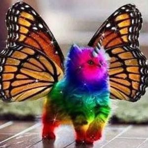 Meet your Posher, Mallory