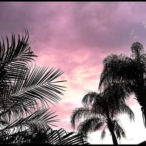 Meet your Posher, Sydney