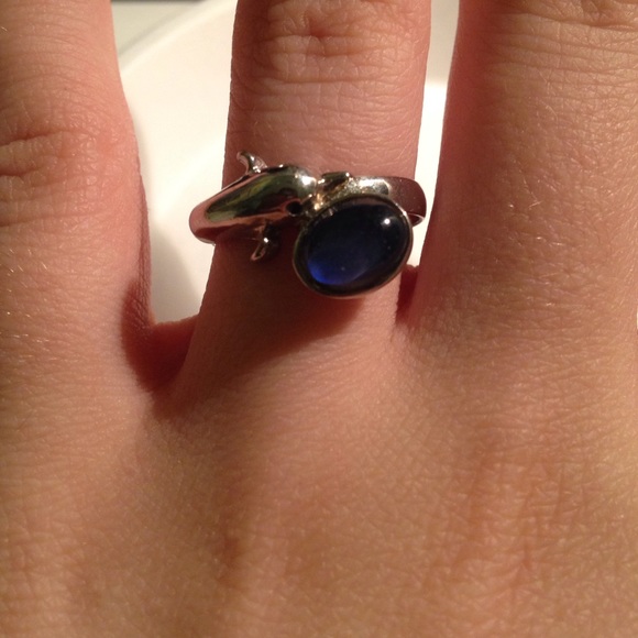 dolphin mood ring