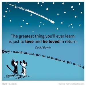 Meet your Posher, Carol