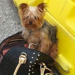 Meet your Posher, Ruby