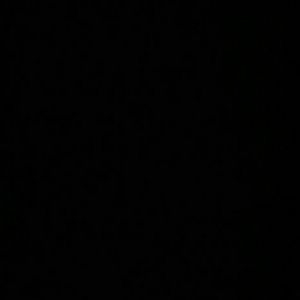 Meet your Posher, Iliana