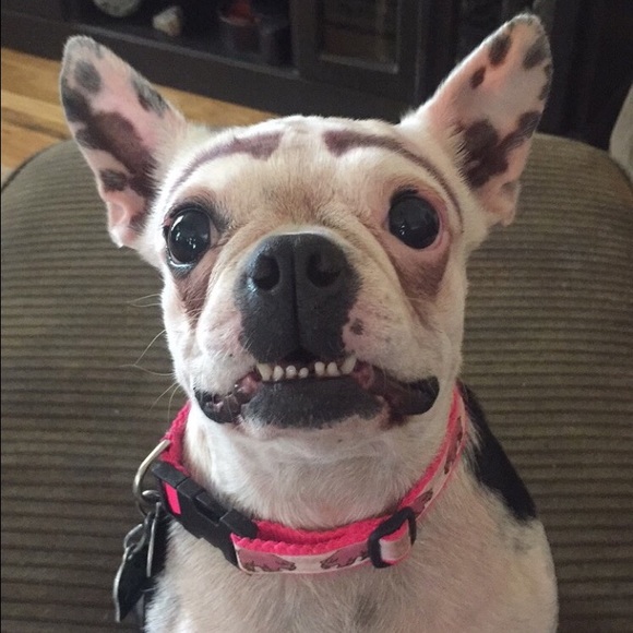 Meet your Posher, Cate