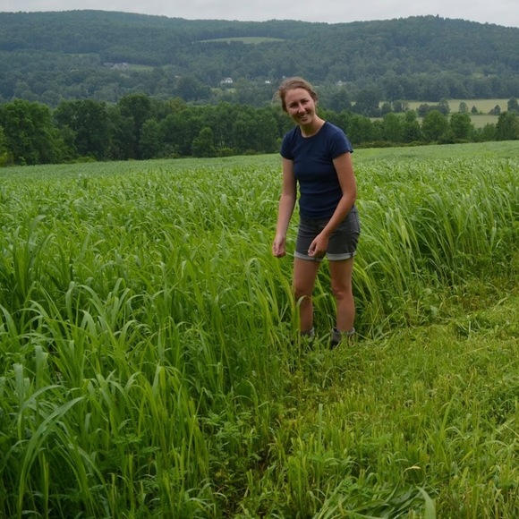 Meet your Posher, Elizabeth - Picture 1 of 1