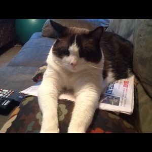 Meet your Posher, Glenna