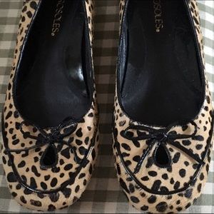Aerosols leopard flats