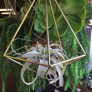 Meet your Posher, Dina