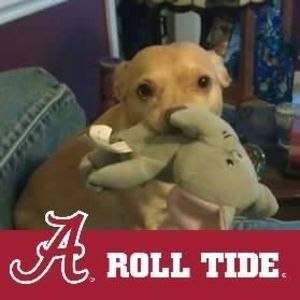 Meet your Posher, Shannon