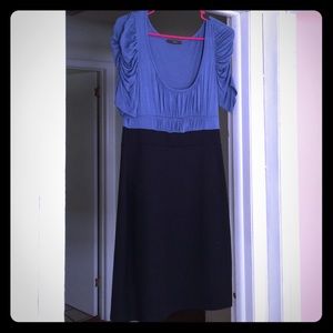 Ruched Sleeve Dress