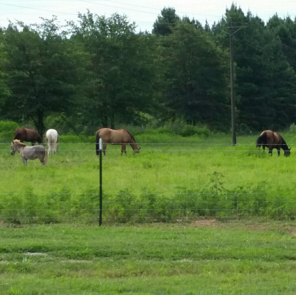Meet your Posher, Cindy