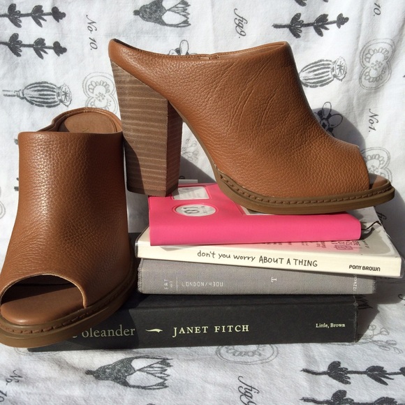 Chunky wood heeled mules