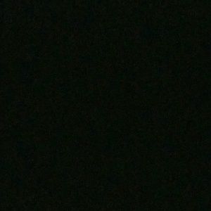 Meet your Posher, Delores